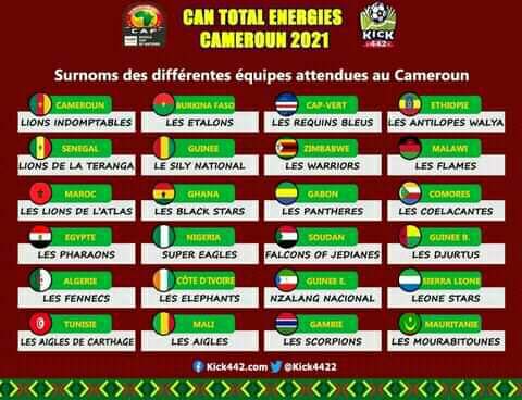 Countries and Their Nick Names as Afcon Draws Near in 4Days Count Down