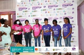 wan-hive – baobab entrepreneur (3)