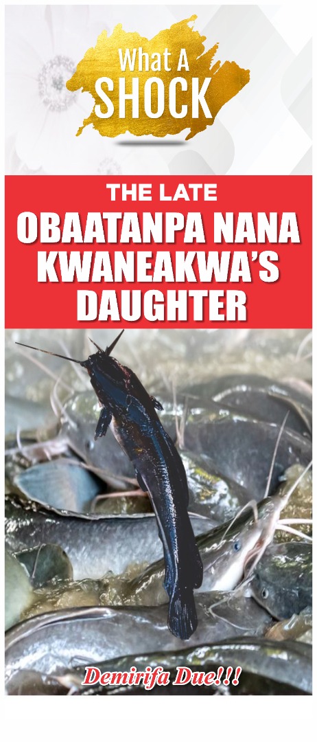 ODAUMAN MOURN RIVER OBAATANPA NANA KWANEAKWA’S DAUGHTER ORACLE MUDFISH DEATH IN ETWERESO